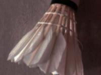 南安普顿VS伊普斯维奇直播_英超第32轮前瞻丨曼城克星再临！降级≠摆烂，圣徒换帅暗藏杀机！